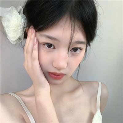 黎明的飞鸟